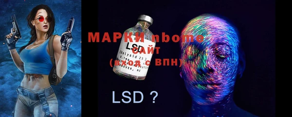 стафф Аркадак