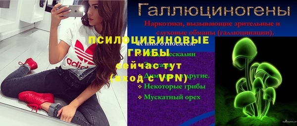 стафф Аркадак