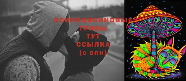 дурь Арсеньев