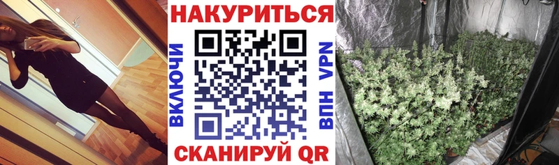 Бошки Шишки THC 21%  Багратионовск 